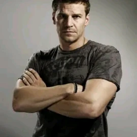 David Boreanaz profile image