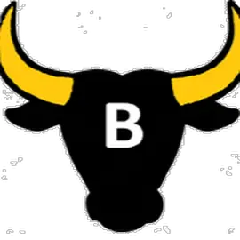 Bullzye VEVO profile image