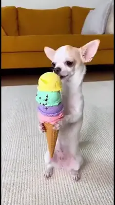Featured post 1