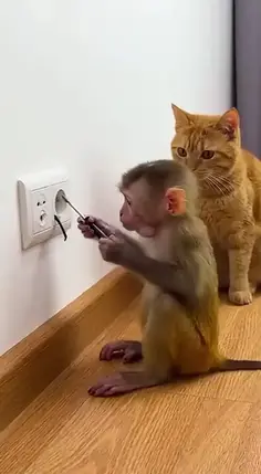 Featured post 5