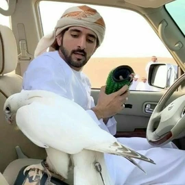 Prince Hamdan Muhammed profile image