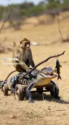 Featured post 1