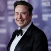 Creator avatar