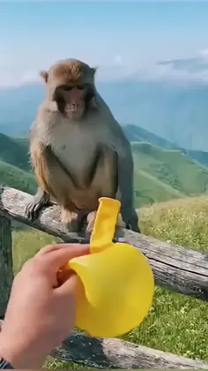Featured post 6