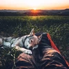Creator avatar