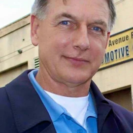 Mark Harmon profile image