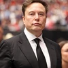 Creator avatar