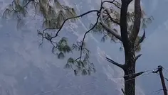 Featured post 2