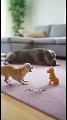 Featured post 2