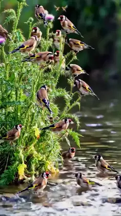Featured post 1