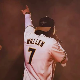 Morgan Wallen profile image