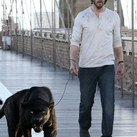 Keanu Reeves profile image