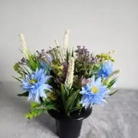 Stralan Toniomiguel profile image