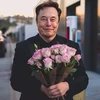 Creator avatar