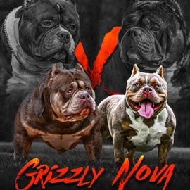 Eric James profile image