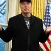 Creator avatar