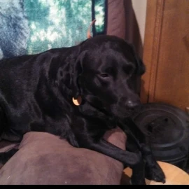 stormyray 68 profile image