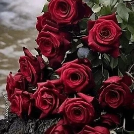 穆罕默德穆罕默德 profile image