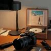 Creator avatar