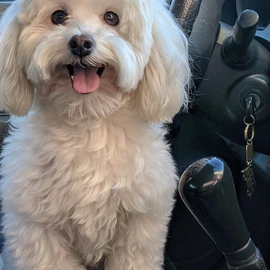 Julia Thomas profile image