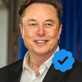Elon musk profile image