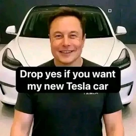 elon reeve musk profile image