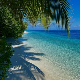 Ketou Chery profile image