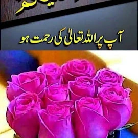 Mudasir Hussain profile image