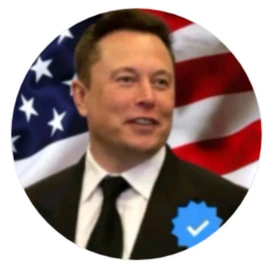 Elon musk profile image