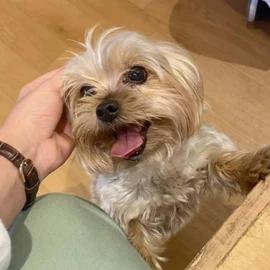 Kelvi Kate profile image