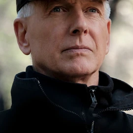 Mark Harmon profile image