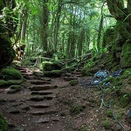 Scott Weller profile image