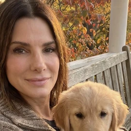 Sandra bullock profile image