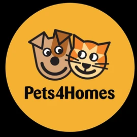 Licensed dog 🐶 profile image