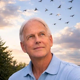 Mark Harmon private profile image