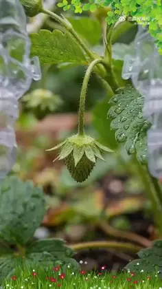 Featured art content