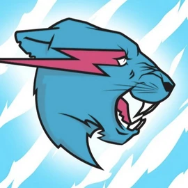 Mrbeastcasting profile image