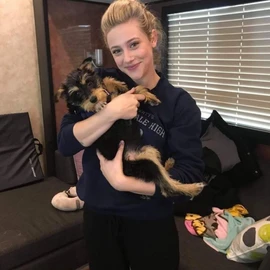 Lili Reinhart profile image