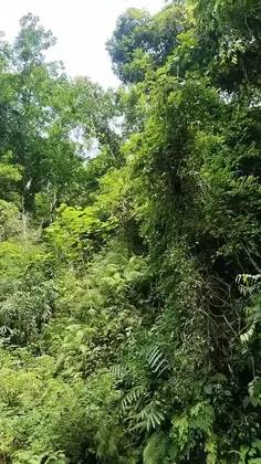 Featured post 5