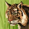 Creator avatar