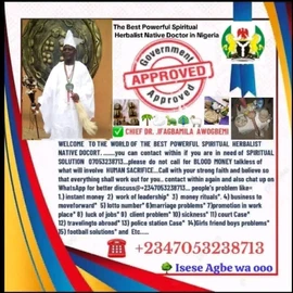 Chief Dr Ifagbamila profile image