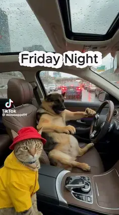 Featured post 2