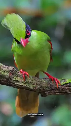 Featured post 1