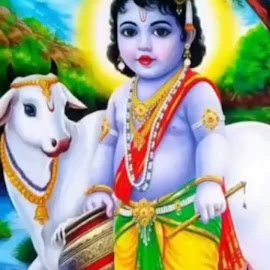 Raju Kuanr profile image