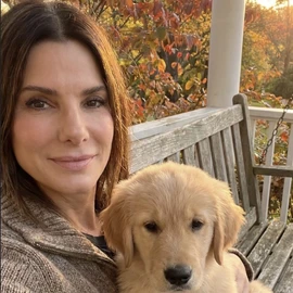 Sandra Bullock profile image