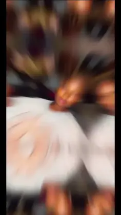 Featured post 3