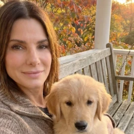 Sandra Bullock profile image