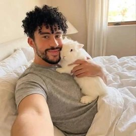 Bad bunny profile image