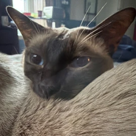 Kennedy Tilly profile image