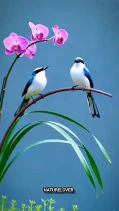 Featured post 3